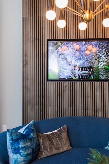 A living room with a blue couch